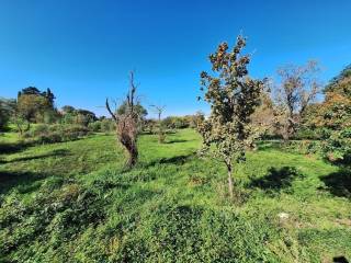 Plot - Grekodom 61456|926246