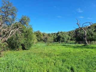 Plot - Grekodom 61456|926249