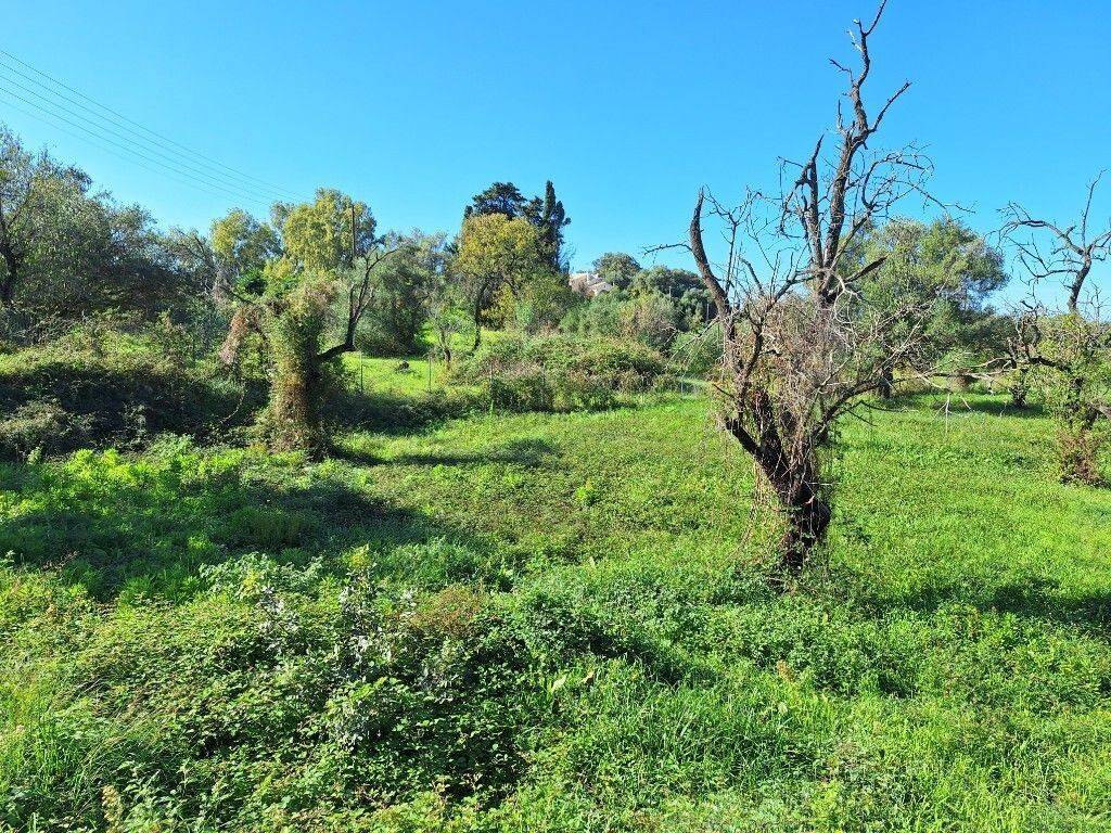 Plot - Grekodom 61456|926250