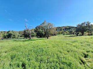 Plot - Grekodom 61456|926252