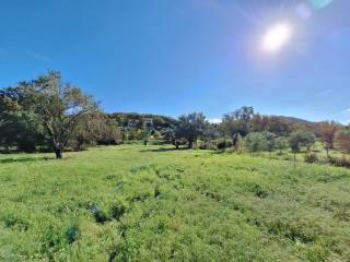 Plot - Grekodom 61456|926254