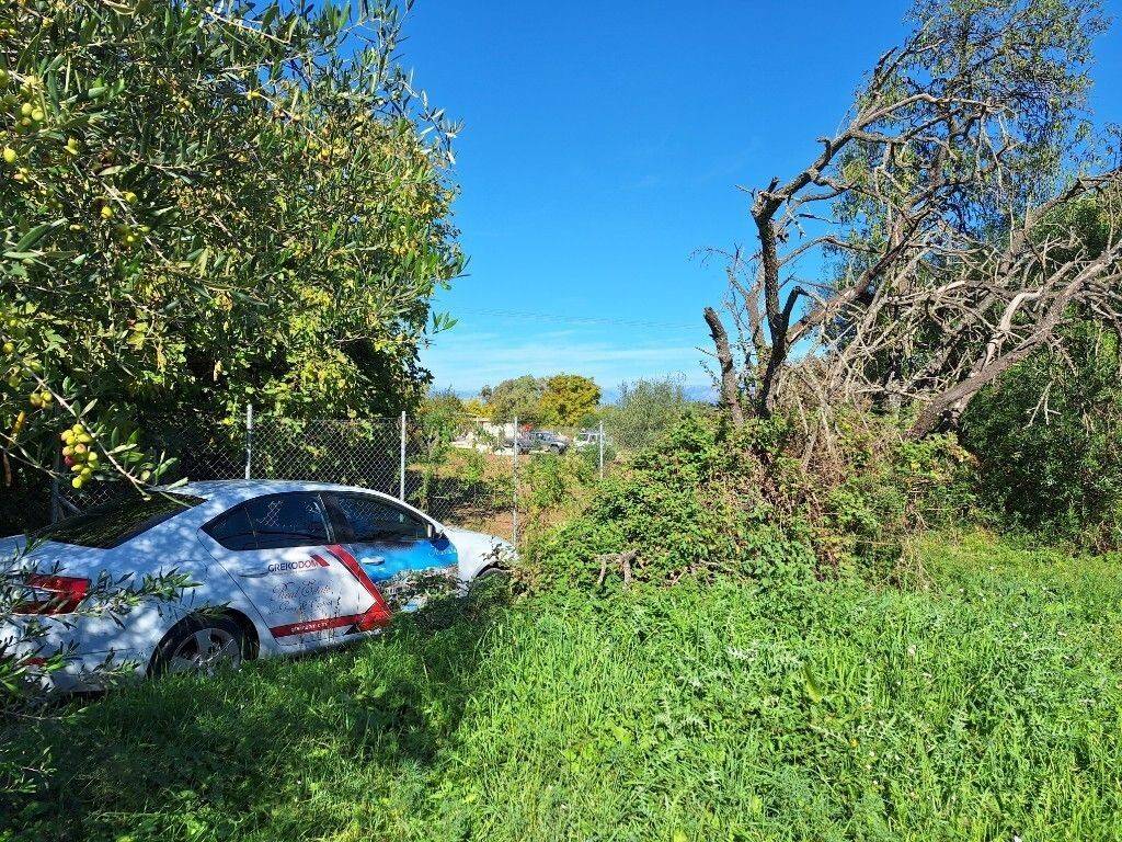 Plot - Grekodom 61456|926251