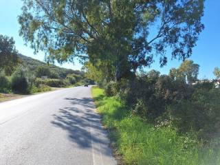 Plot - Grekodom 61456|926242