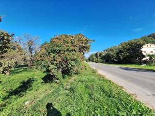 Plot - Grekodom 61456|926247