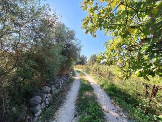 Plot - Grekodom 61456|926253