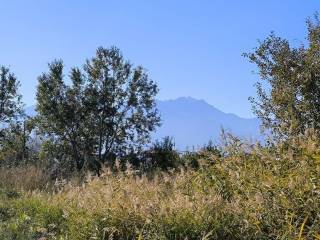 Plot - Grekodom 61450|926205