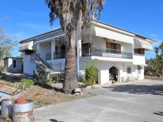 Detached - Grekodom 61461|926779