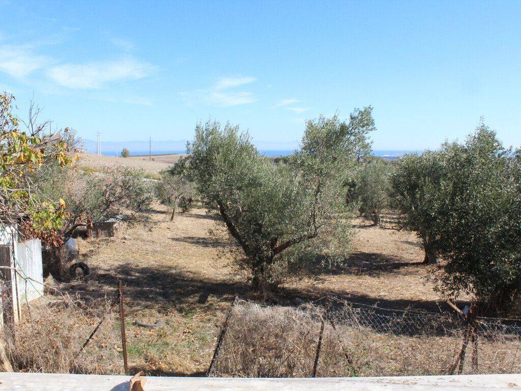 Detached - Grekodom 61461|926788