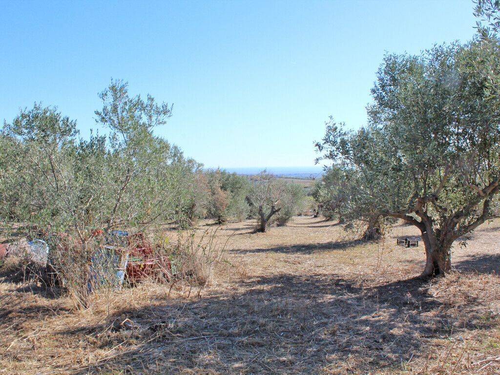 Detached - Grekodom 61461|926798