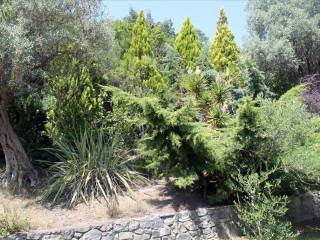 Villa - Grekodom 61534|928027