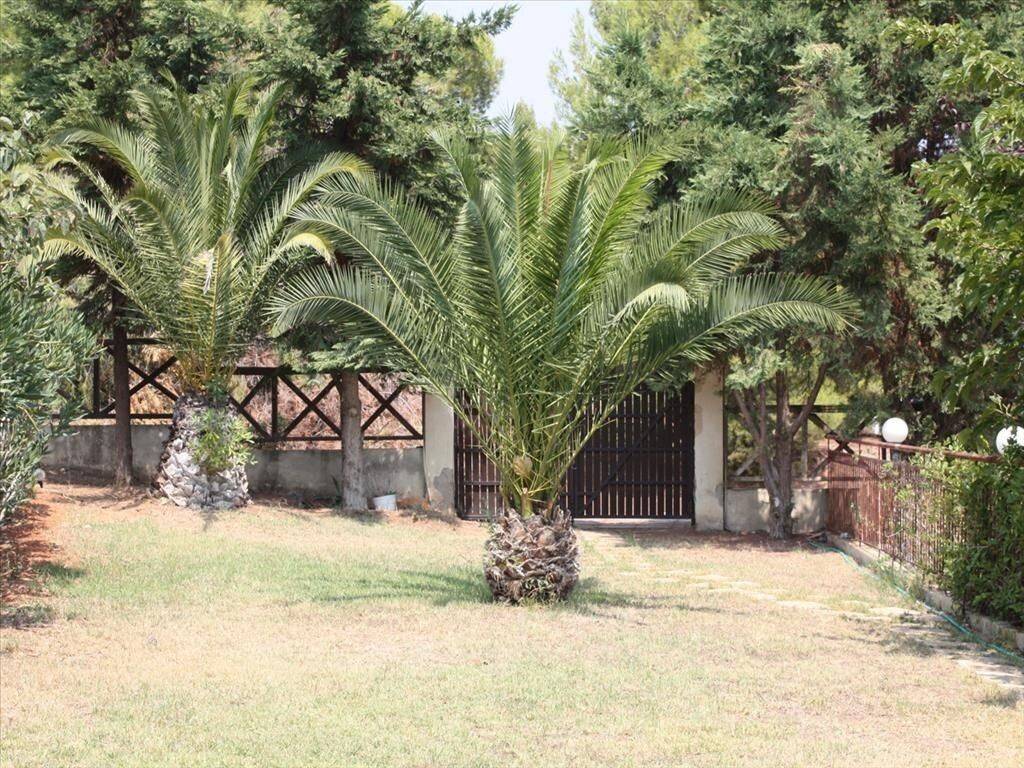 Maisonette - Grekodom 61533|927991