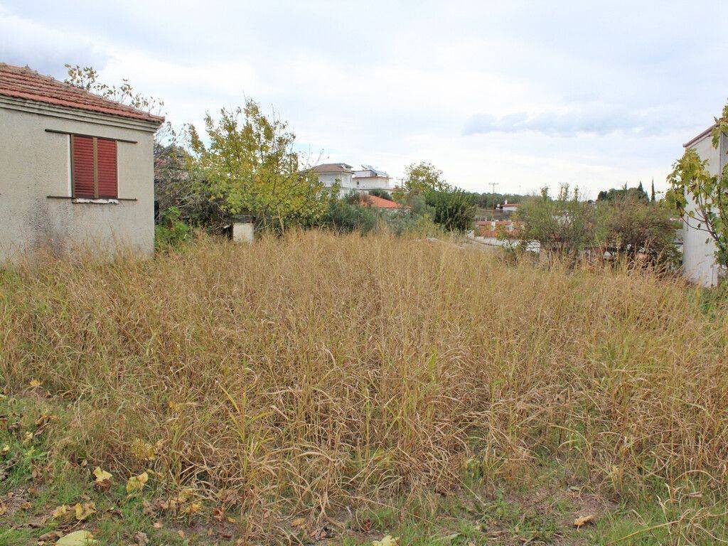 Plot - Grekodom 61605|931452
