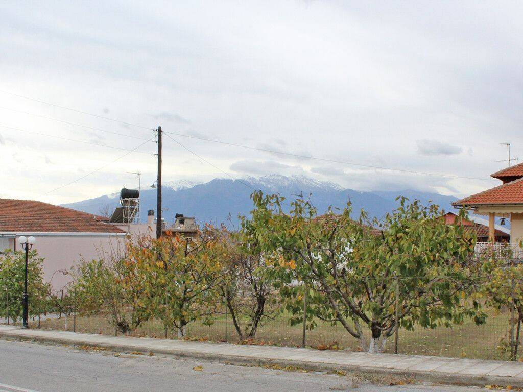 Plot - Grekodom 61605|931451