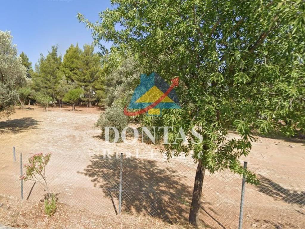 Εξωτερικοι χώροι