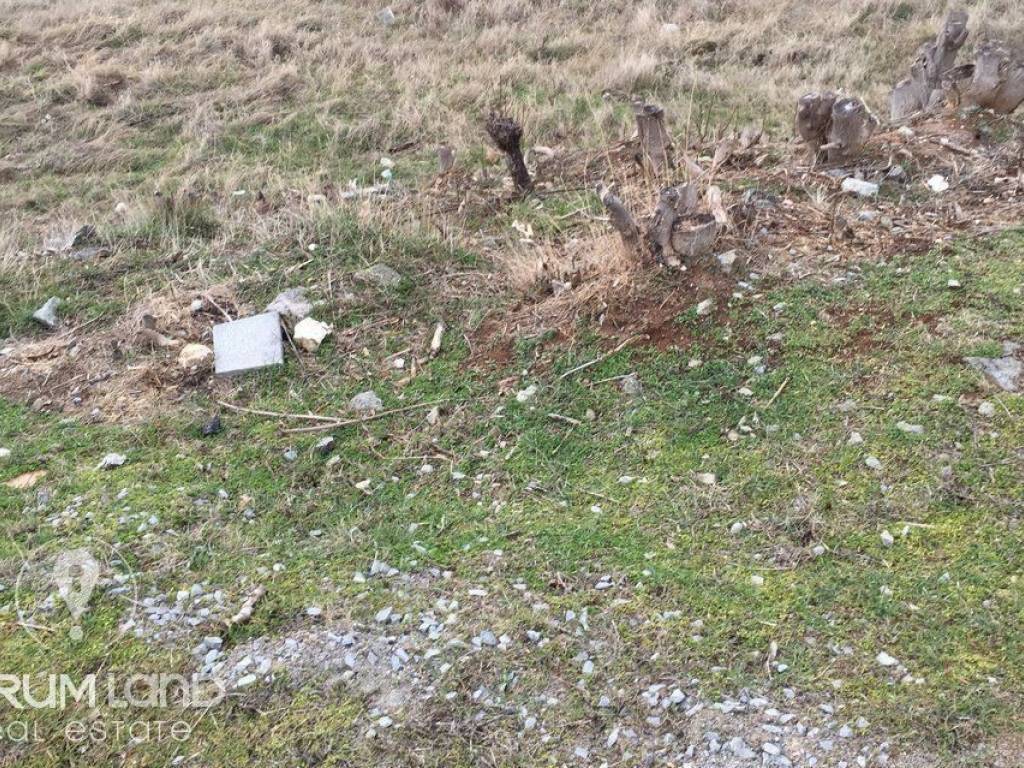 forumland Real Estate, 450τμ. Οικόπεδο