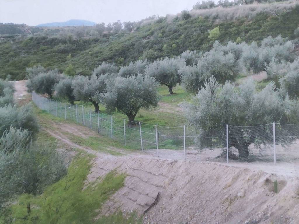 Εξωτερικοι χώροι