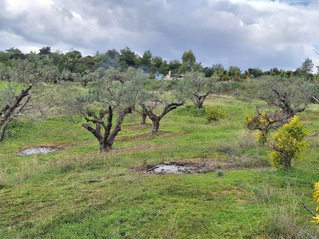 Εξωτερικοι χώροι