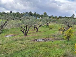 Εξωτερικοι χώροι