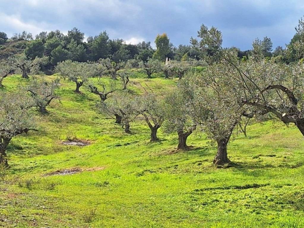 Εξωτερικοι χώροι