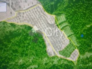 Τοπογραφικό