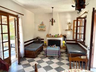 Diamperes saloni me tzaki