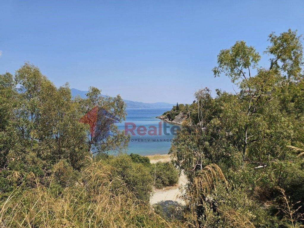 Εξωτερικοι χώροι