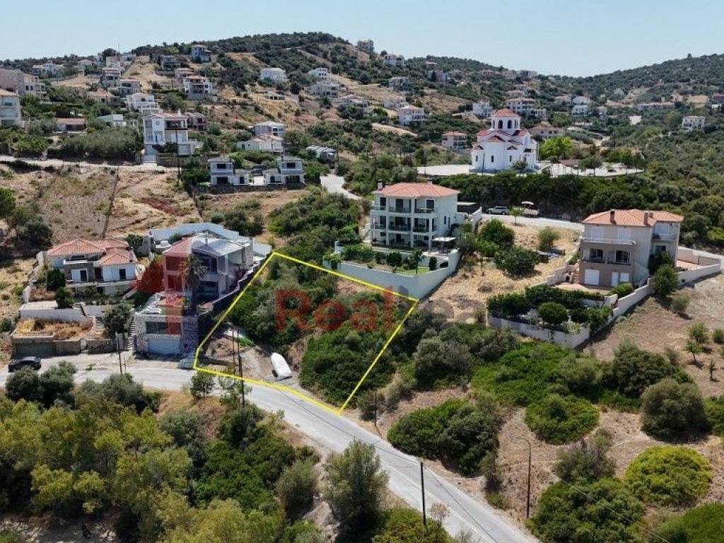 Εξωτερικοι χώροι