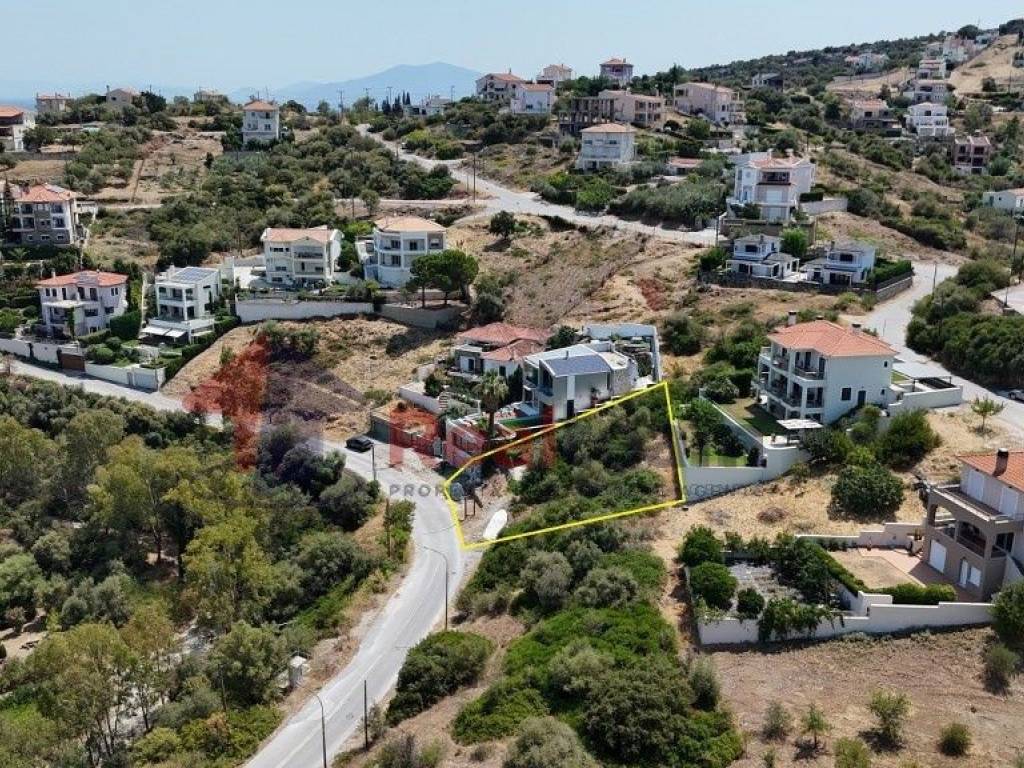 Εξωτερικοι χώροι