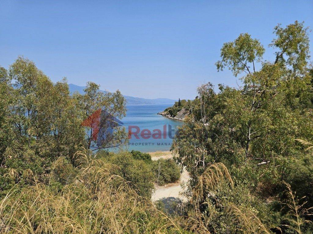 Εξωτερικοι χώροι