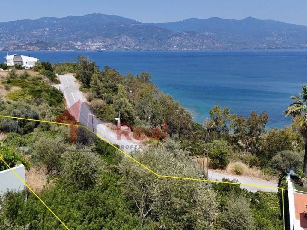 Εξωτερικοι χώροι