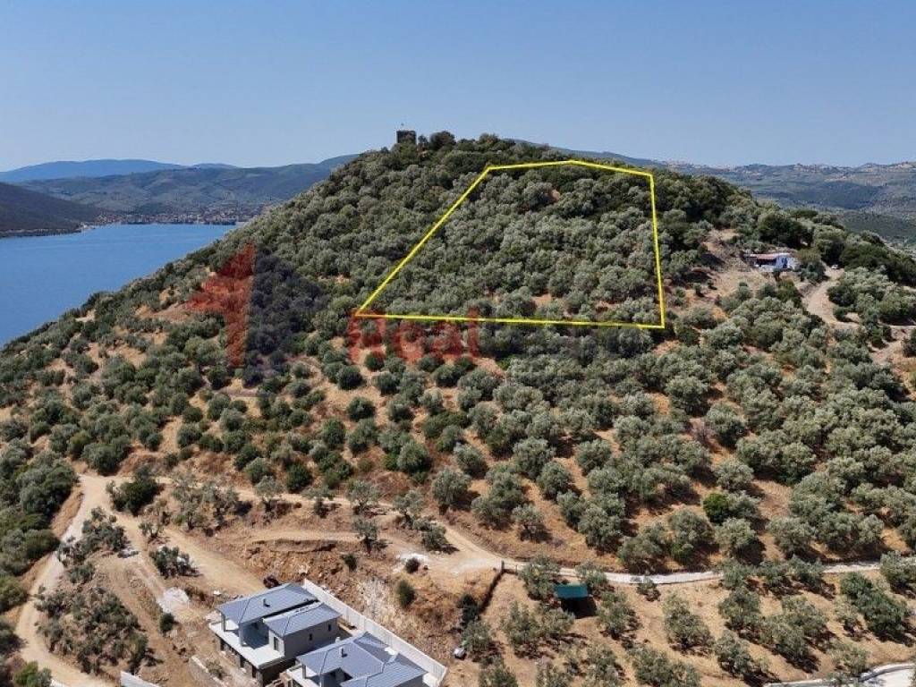 Εξωτερικοι χώροι