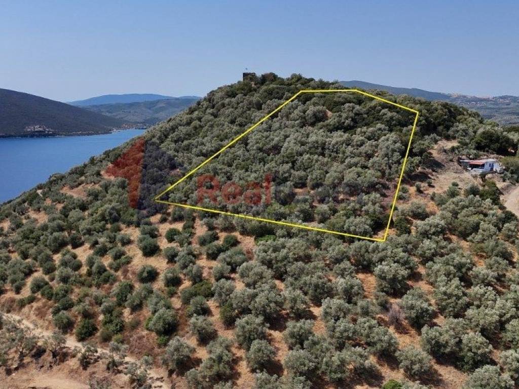 Εξωτερικοι χώροι