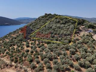 Εξωτερικοι χώροι