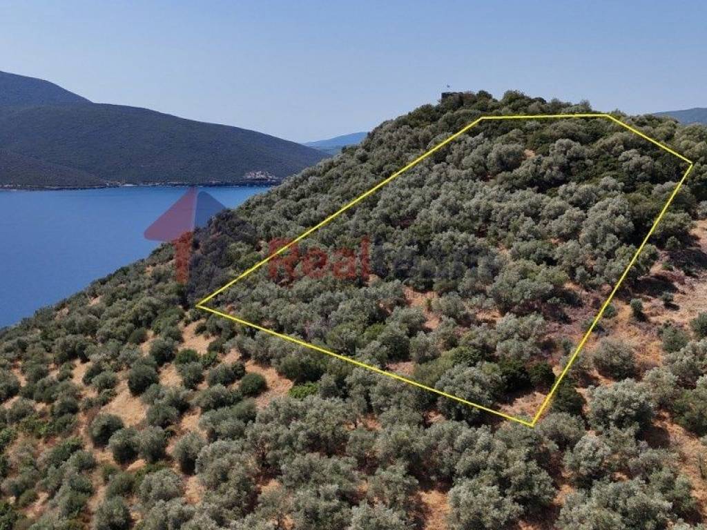 Εξωτερικοι χώροι