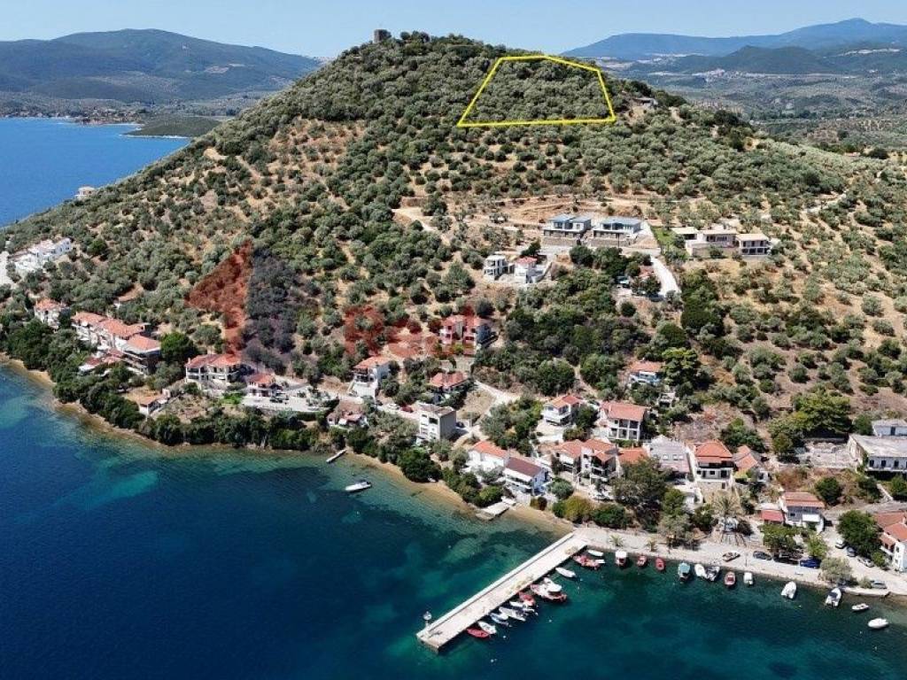 Εξωτερικοι χώροι