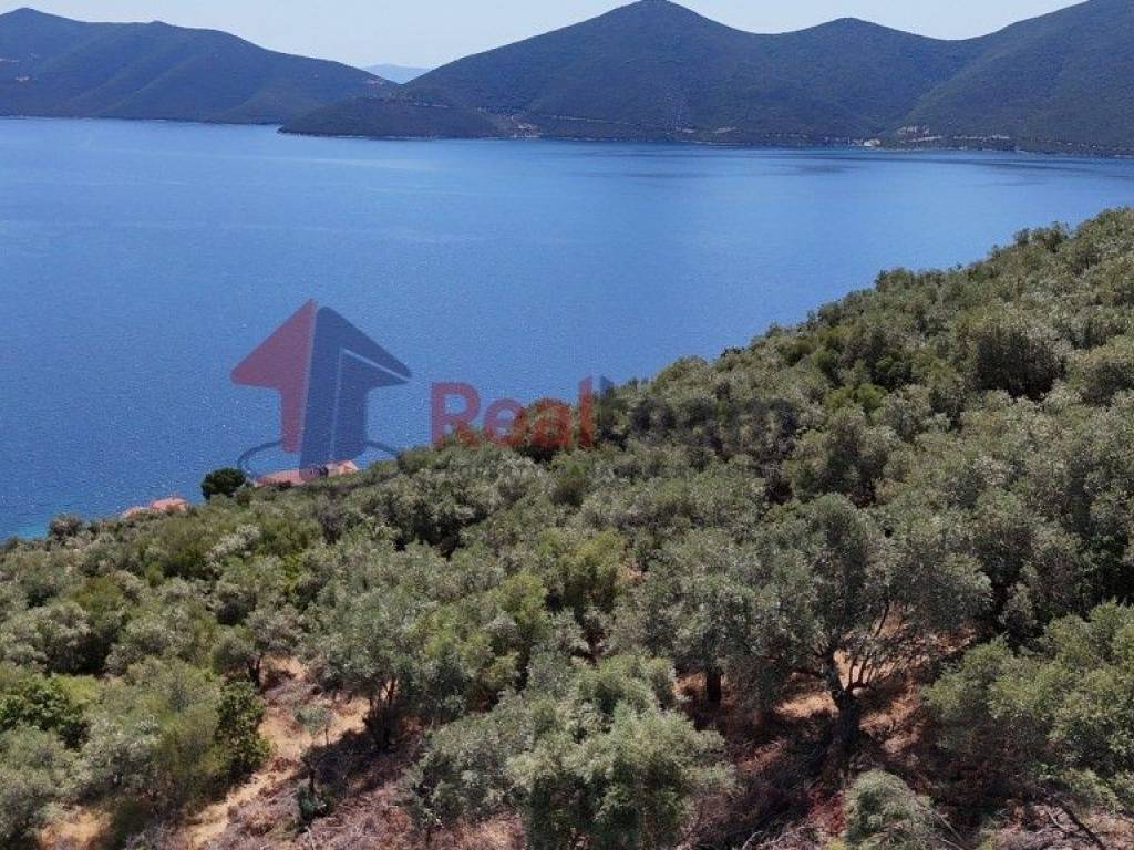 Εξωτερικοι χώροι