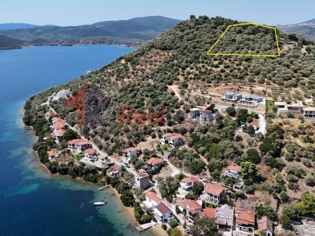 Εξωτερικοι χώροι