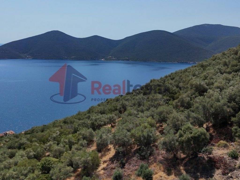 Εξωτερικοι χώροι