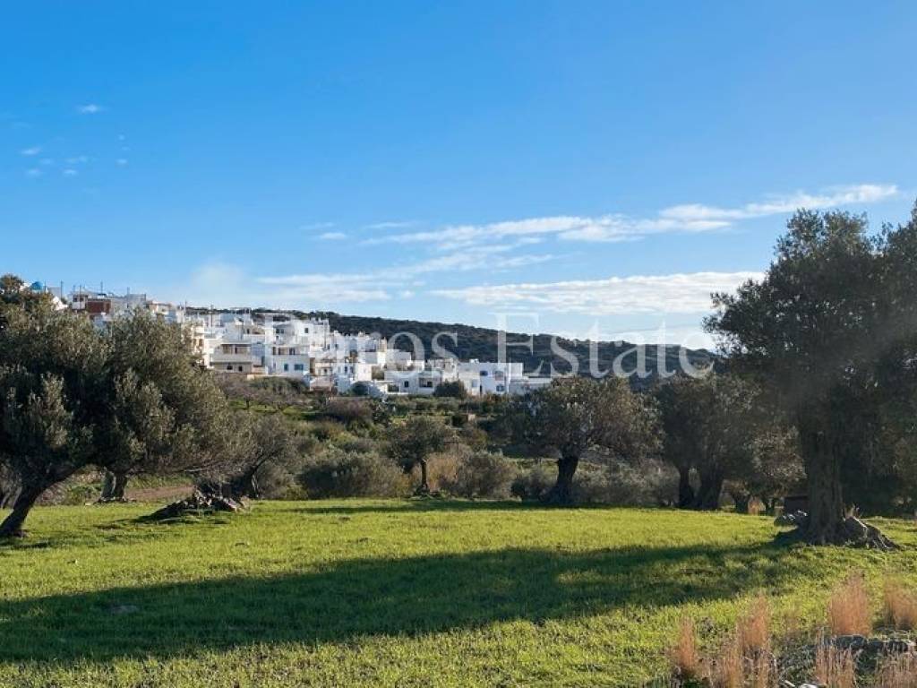 Αγροτεμάχιο