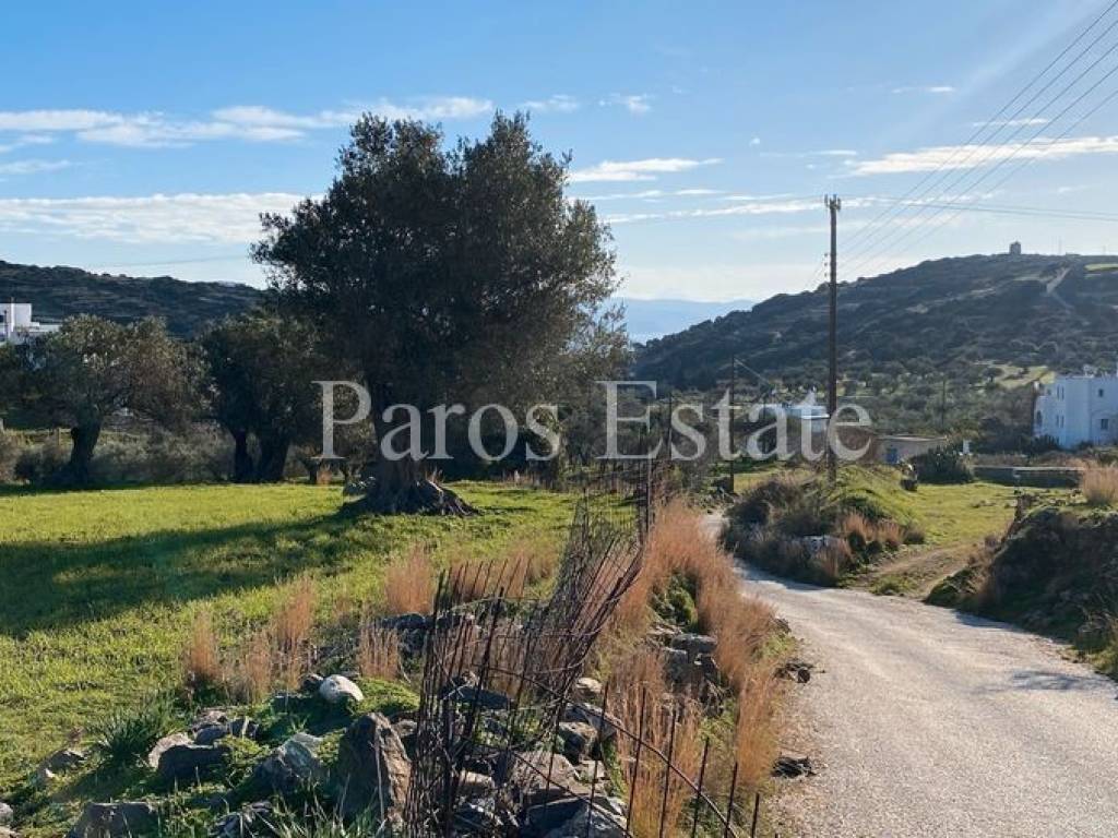 Αγροτεμάχιο