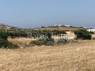 Αγροτεμάχιο