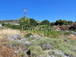 Aγροτεμάχιο