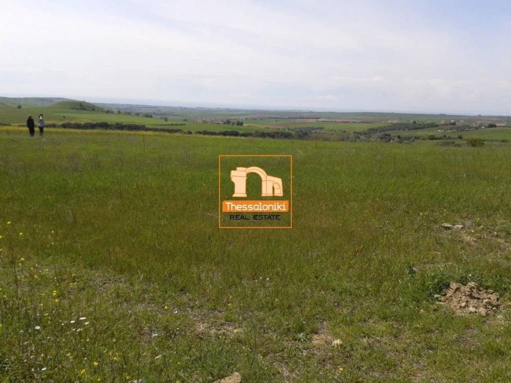 Καρδία, Αγροτεμάχιο, 8.750 τ.μ.