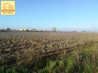 Σίνδος, Αγροτεμάχιο, 12.000 τ.μ.