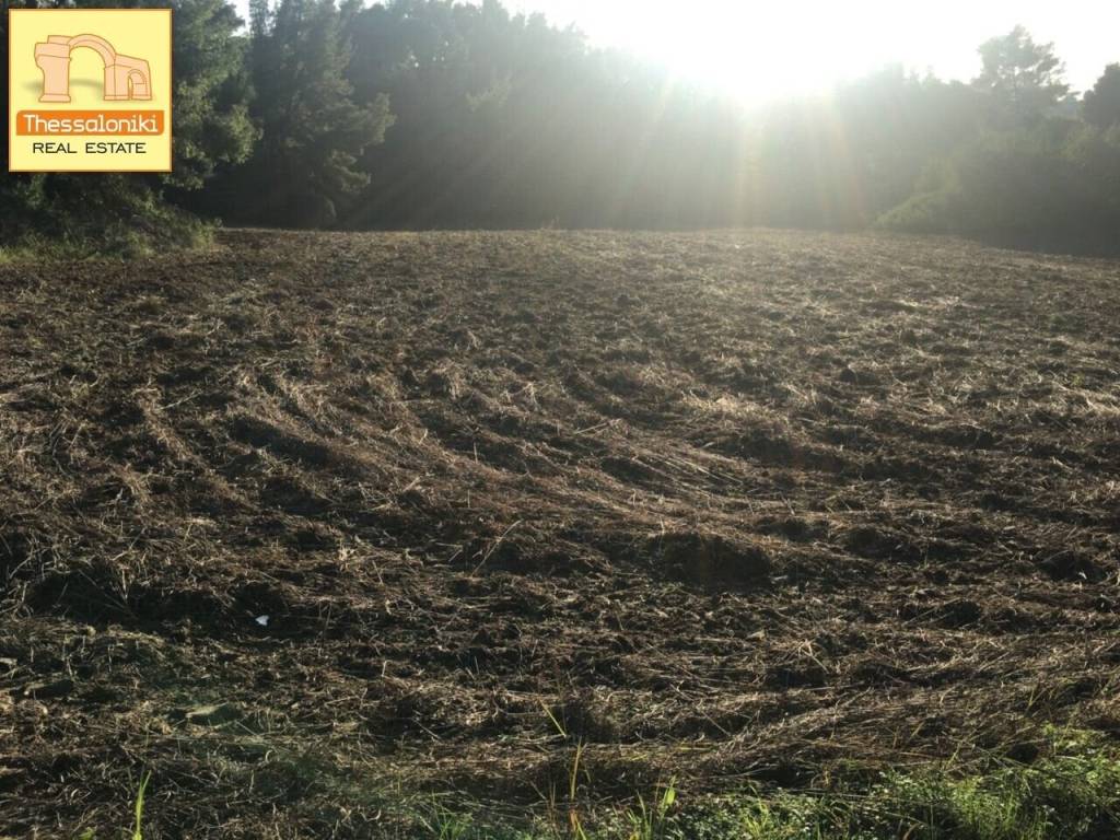 Ποσείδι, Αγροτεμάχιο, 11.400 τ.μ.