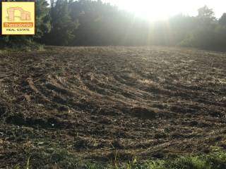 Ποσείδι, Αγροτεμάχιο, 11.400 τ.μ.