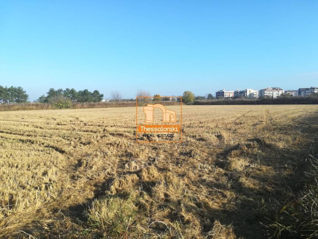 Σίνδος, Αγροτεμάχιο, 11.980 τ.μ.