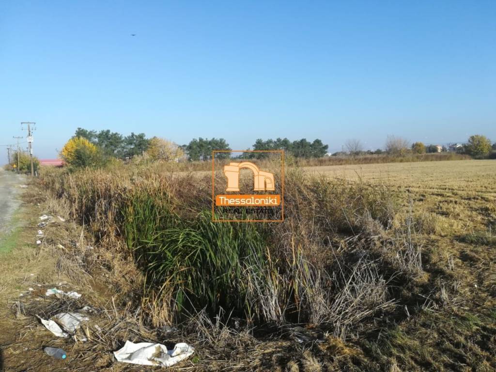 Σίνδος, Αγροτεμάχιο, 11.980 τ.μ.