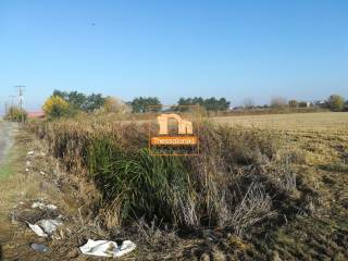 Σίνδος, Αγροτεμάχιο, 11.980 τ.μ.