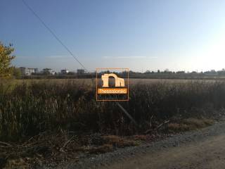 Σίνδος, Αγροτεμάχιο, 11.980 τ.μ.